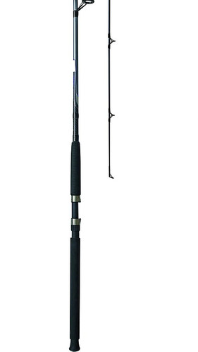 Quantum blue runner - blue, 10'